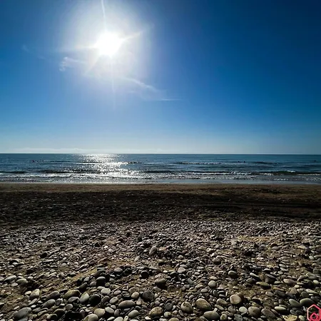 Rincon De La Naturaleza * Oropesa del Mar